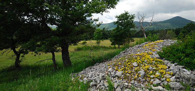 Kurze reise durch die vergangenheit | Rivijera Paklenica